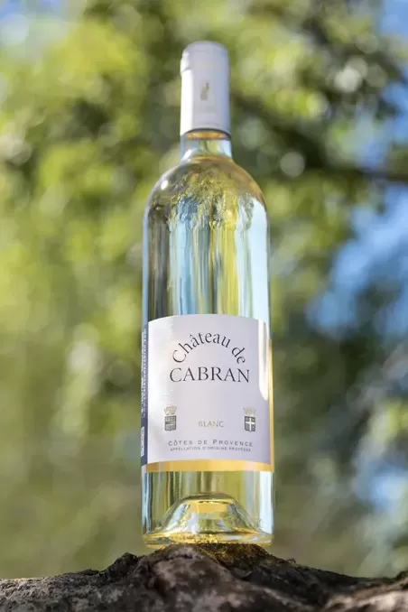 Château de Cabran blanc