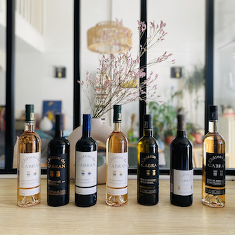 Tradition, Terroir ou Millésime, trouvez votre vin idéal !