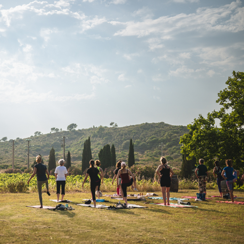 YOGA DANS LES VIGNES ET DÉGUSTATION 