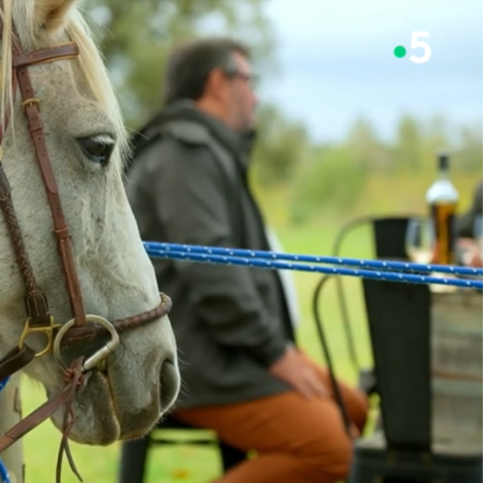 L’Estérel insolite : balade à cheval et dégustation au Château de Cabran