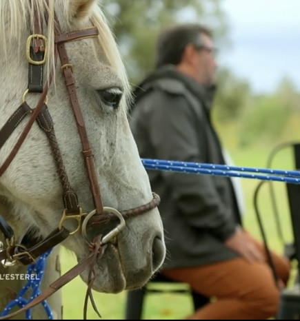 L’Estérel insolite : balade à cheval et dégustation au Château de Cabran